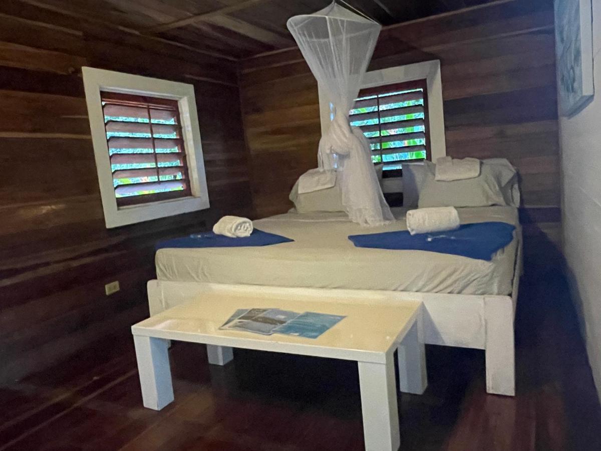 Dolphin Blue Paradise Μπόκας ντελ Τόρο Εξωτερικό φωτογραφία