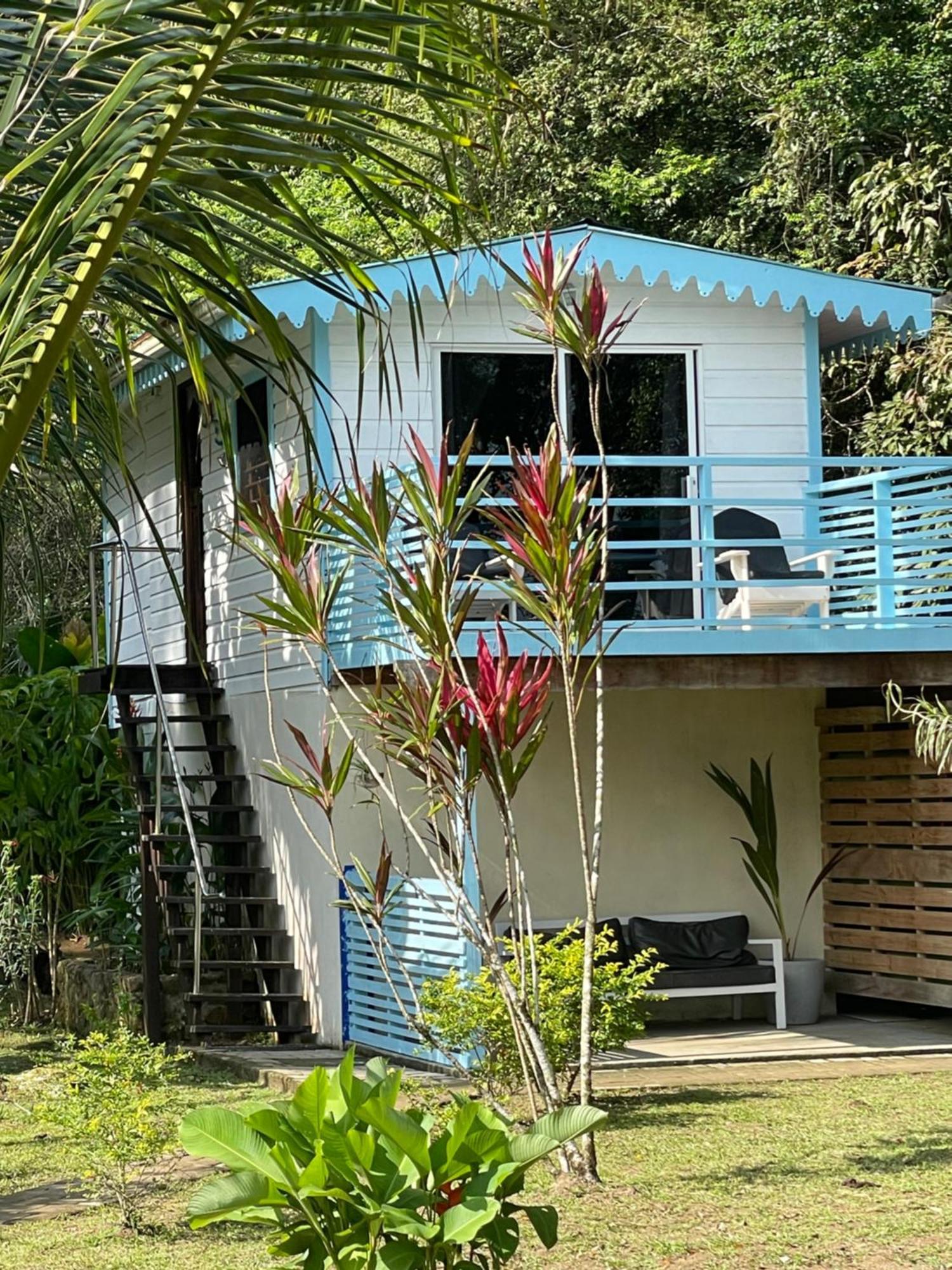 Dolphin Blue Paradise Μπόκας ντελ Τόρο Εξωτερικό φωτογραφία